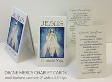 Divine Mercy Prayer Cards