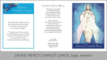 Divine Mercy Prayer Cards